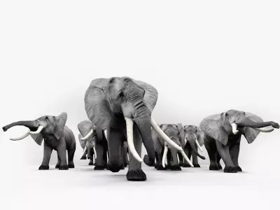Elephant family 3D model