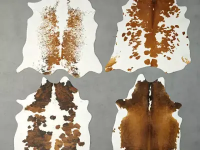 Rugs 7 cowhide rug 3D model