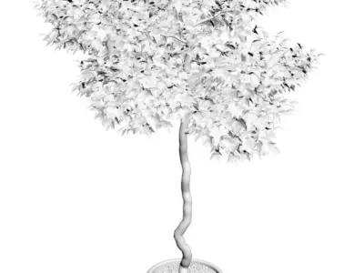 Young tree in ceramic pot 3D model