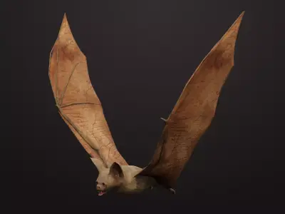Vampire Bat Low-poly 3D model
