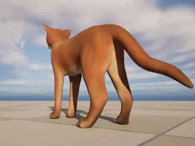 Abyssinian Cat 3D Model Low-poly 3D model