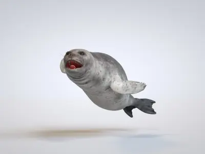 Common Seal 3D model