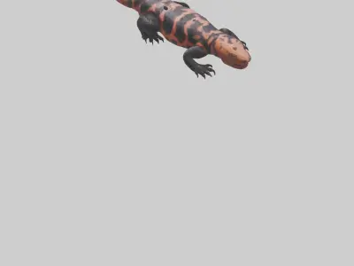 Gila Monster sunning model Low-poly 3D model