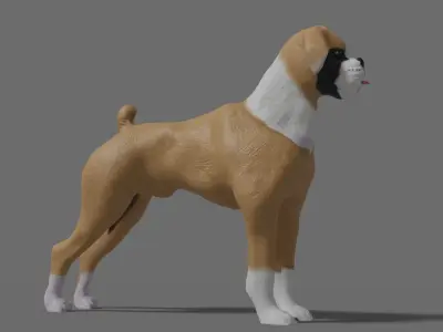 boxer dog Low-poly 3D model