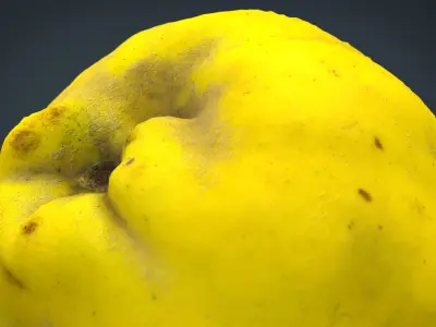 Grapefruit potato Low-poly 3D model