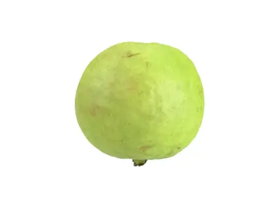 Photorealistic Guava 3D Scan 3D model