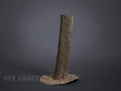 Apricot tree 001 3D model