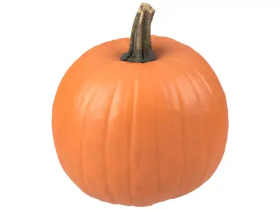 Photorealistic Pumpkin 3D Scan 3D model