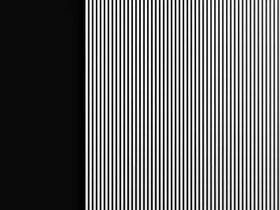 Narrow planks 3D model