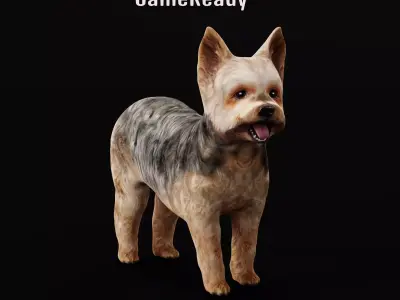 Yorkshire Terrier Dog Low-poly 3D model