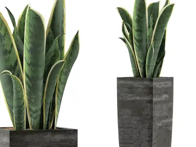 Plants Collection 100 3D model