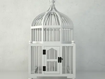 Wooden Decorative Cage by ZARA HOME 3D model