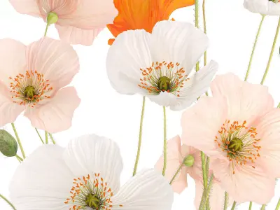 Beautiful Realistic Bouquet Of Wild Flowers Poppy glass vase 627 3D model