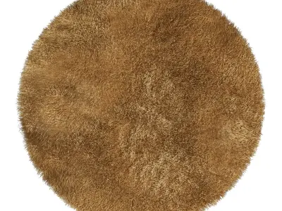 Round rug 3D model purchase