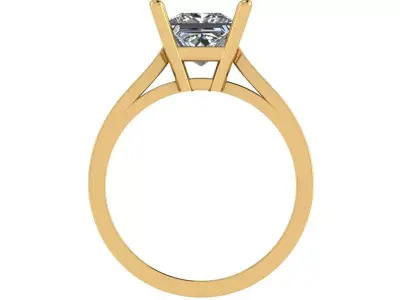 princess solitaire cathedral ring  3D print model
