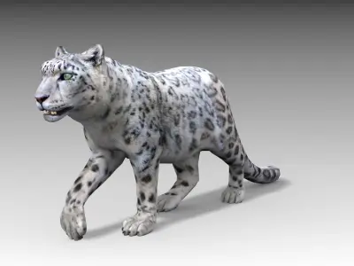 Snow Leopard Low-poly 3D model