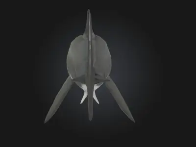 Great White Majesty  Apex Power Beneath the Waves 3D model