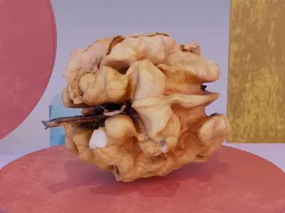 Walnut kernel high-poly 3D model