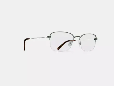 Armando Eyeglasses in Polished Silver 3D model