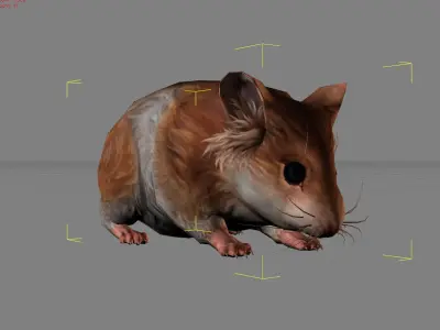 Hamster Animal  Low-poly 3D model