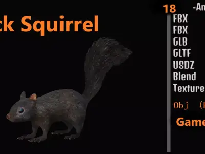 Black Squirrel Low-poly 3D model
