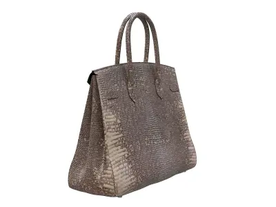 Hermes Birkin Bag Snake Leather Low-poly 3D model
