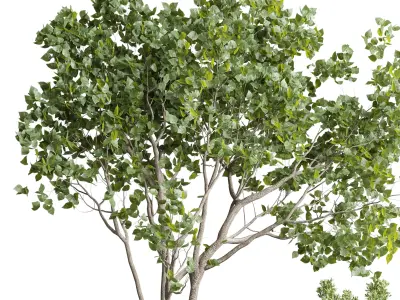 Outdoor plant box 146 garden concrete dirty box pot Low-poly 3D model