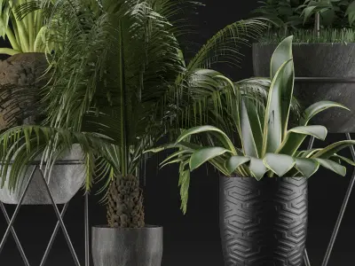 Plants Collection 22 3D model