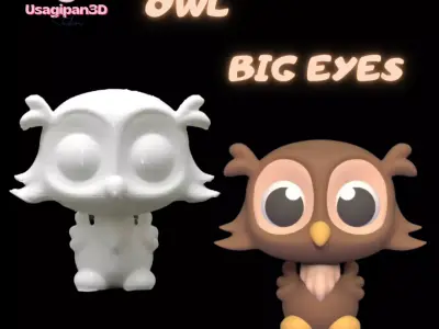 Owl Big Eyes 3D print model