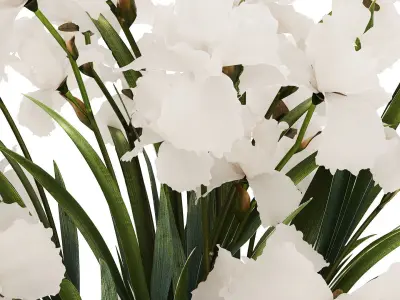 Beautiful white bouquet in a glass vase with flowers Iris 566 3D model