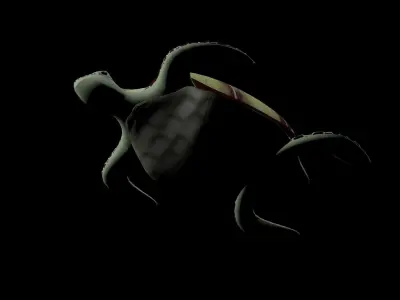 Rigged low-poly turtle  Low-poly 3D model
