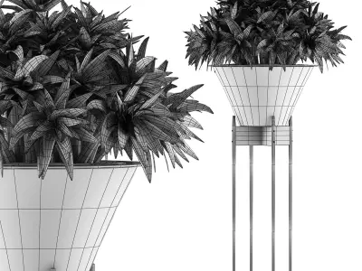Plants Collection 49 3D model