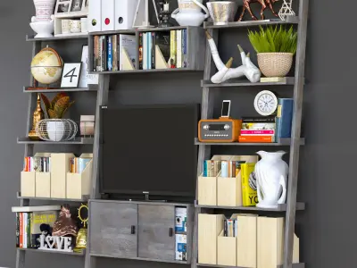 TvSHelf bookcase with shelves and tv 3D model