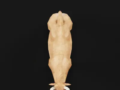 Oxen Bullock Mammal Animal Low-poly 3D model