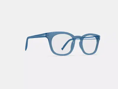 Newman Eyeglasses in Shoreline 3D model