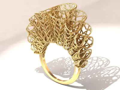 fiozhen ring Free 3D print model