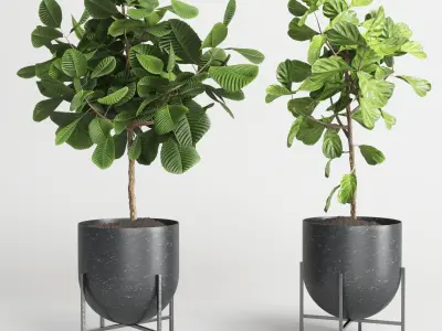 collection Indoor plant 32-marble vase Low-poly 3D model