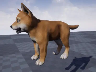 Puppy - Shiba Inu  Low-poly 3D model
