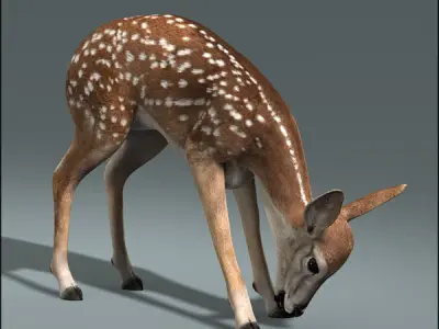 Deer Family ANIMATED 3D model