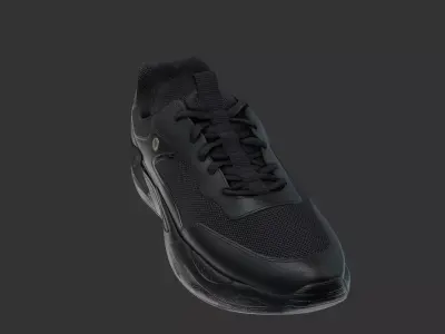 North Star Shoe Low-poly 3D model