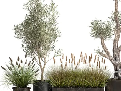 Outdoor plants in a rust flowerpot for the interior 1000 3D model