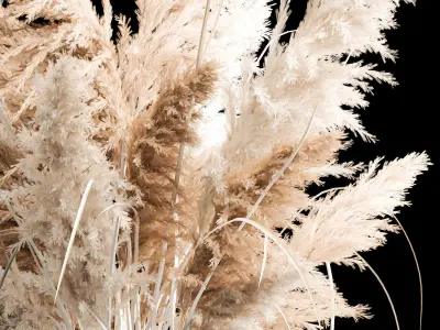 Bouquet of dry reeds in a white wicker basket for decoration 256 3D model