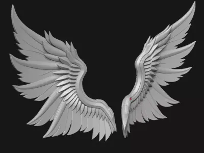Wings 3D print model