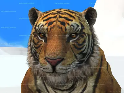 Tiger Rigged Animated 7 3D model