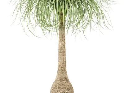 Plants collection 103 3D model