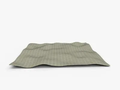 Artichoke Green Checked Plaid Throw 3D model