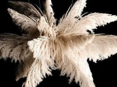 Hanging Bouquet Of Dry Reeds For Decoration 271 3D model