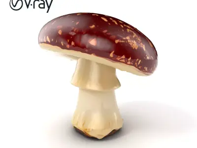 Textured Red-Cap Mushroom model pack Low-poly 3D model