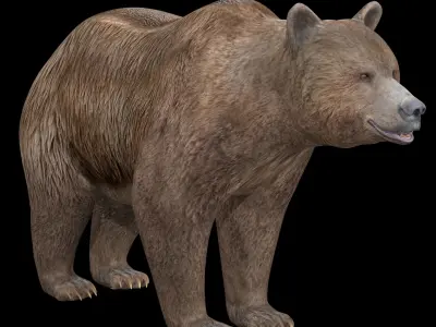 Grizzly Bear  Low-poly 3D model