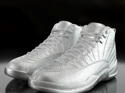 Air Jordan 12 Retro  3D print model